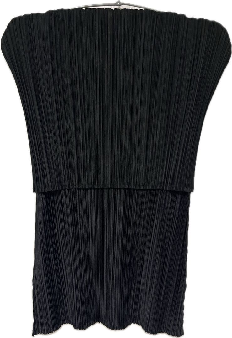 プリーツプリーズ　トップス　2way