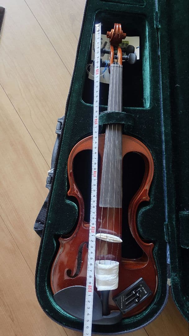 hallstatt ハルシュタット　EV-30 バイオリン