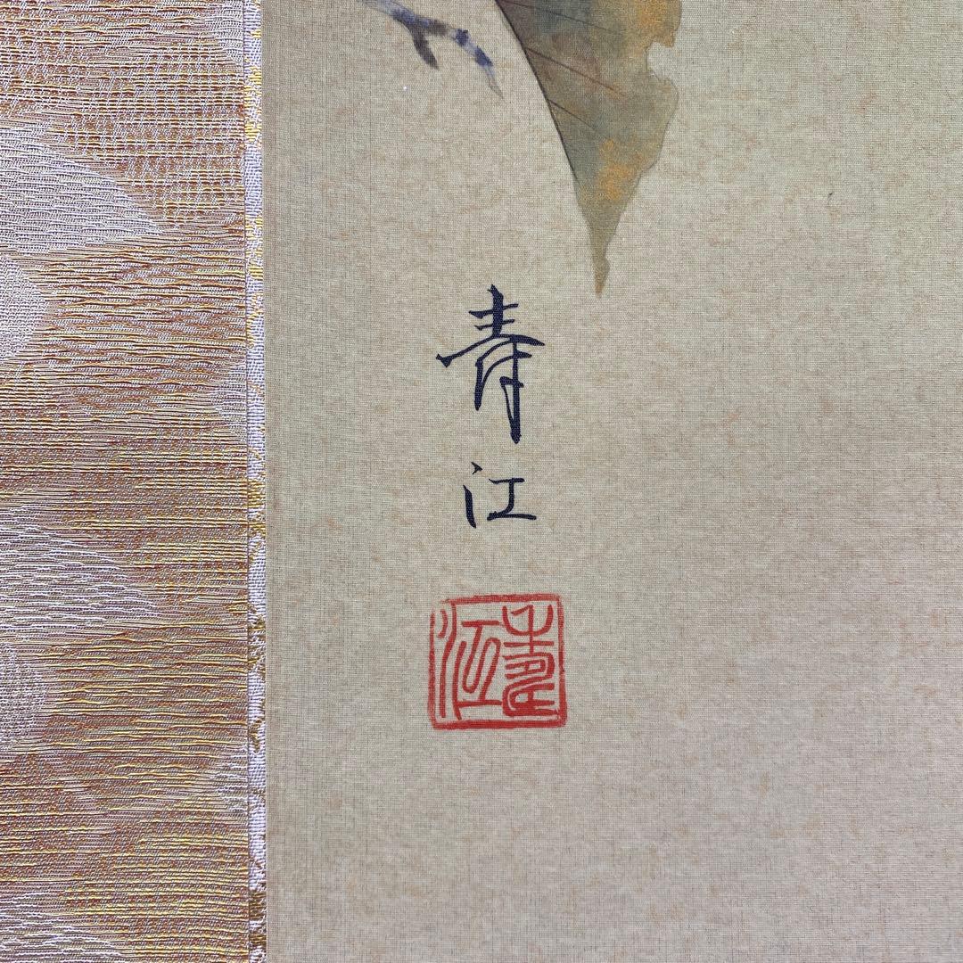 美品 掛け軸 柳沢寿江作 柿図 花鳥 共箱 太巻き 縁起物