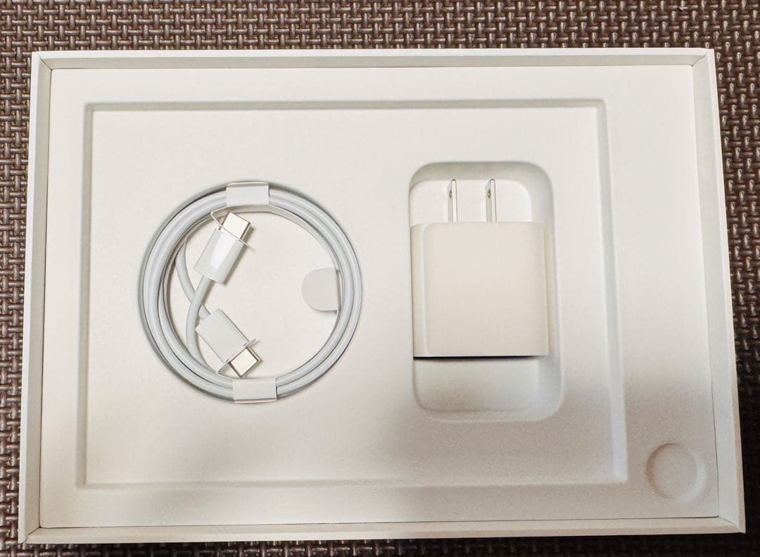 QUATROiPad mini 6 256GB本体+純正ペン+ケース付