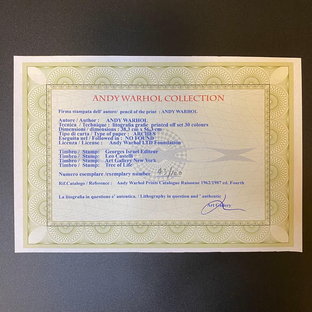 【模写】世界限定100枚 アンディ・ウォーホル ジョン・レノン リトグラフ