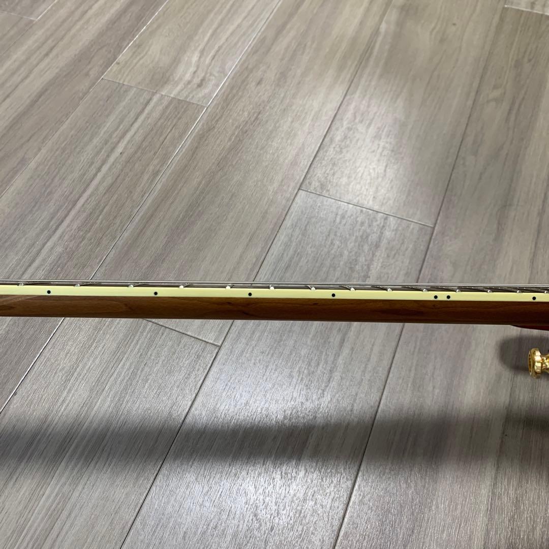 新品 Ibanez アイバニーズ エレキギター SEW761FM ２４フレット