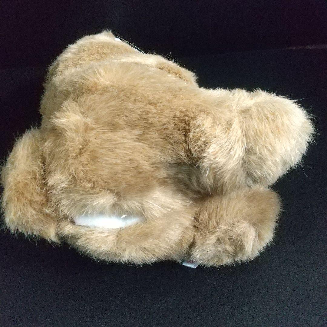 ウサギ　うさぎ