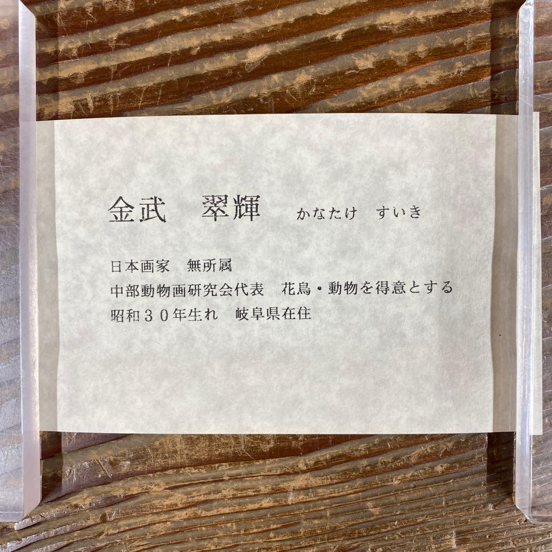 美品 掛け軸 金武翆輝作 羽衣図 共箱 美術年鑑掲載 能楽 雅楽