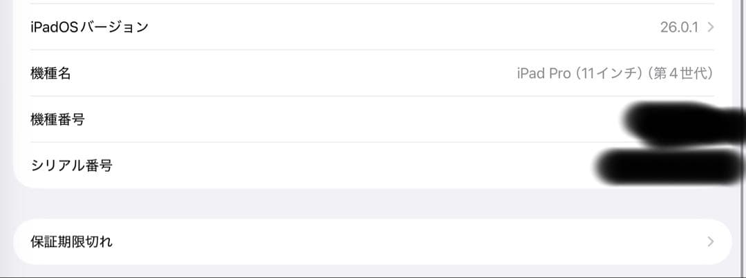 iPad Pro 11インチ 256g スペースブラック　第4世代　Wi-Fi