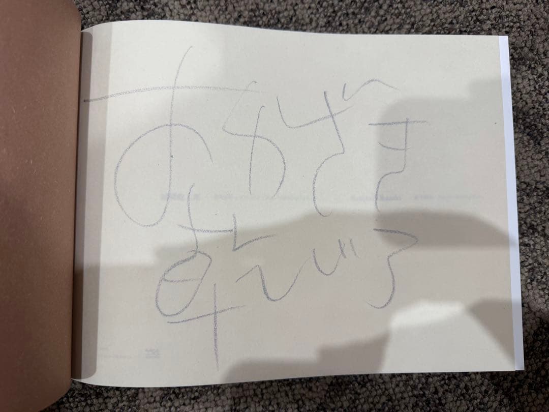 岡崎乾二郎 而今而後 ジコンジゴ 展覧会公式図録 直筆サイン入り