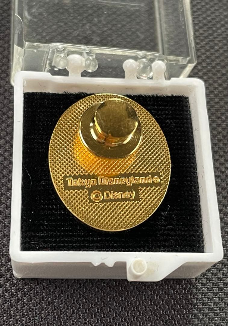 東京ディズニーリゾート　トレーナーピンバッジ　ジミニークリケット