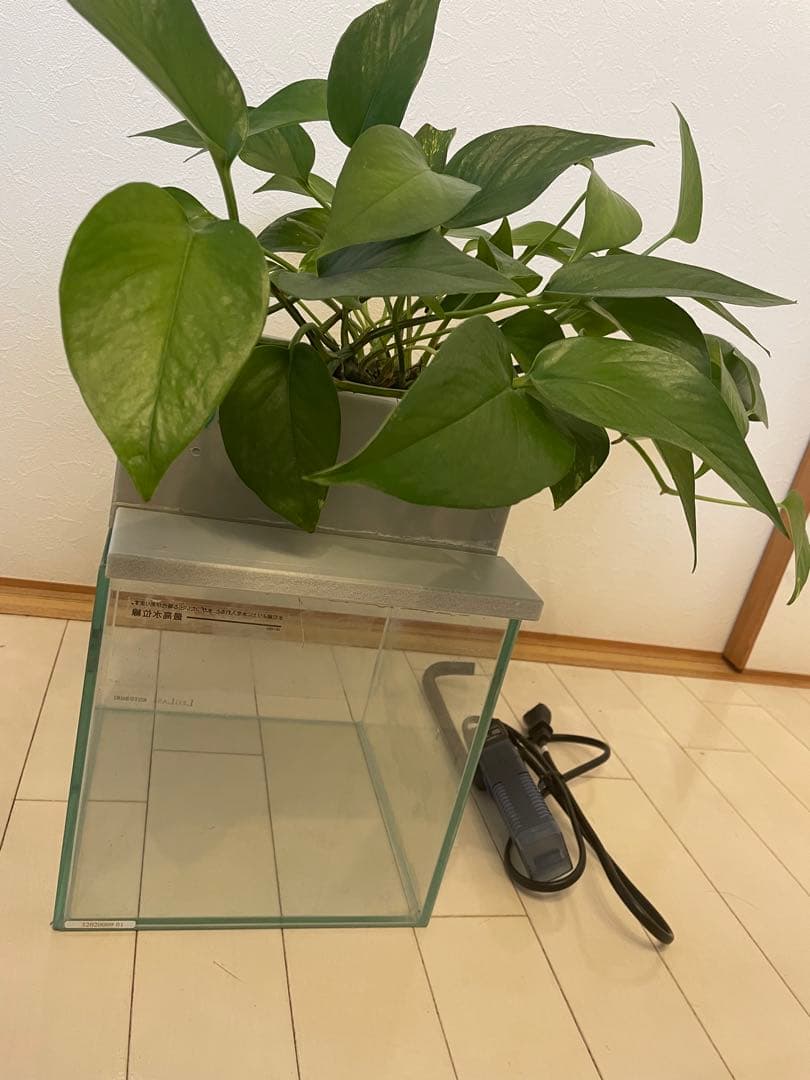 水槽　せせらぎビオトープ