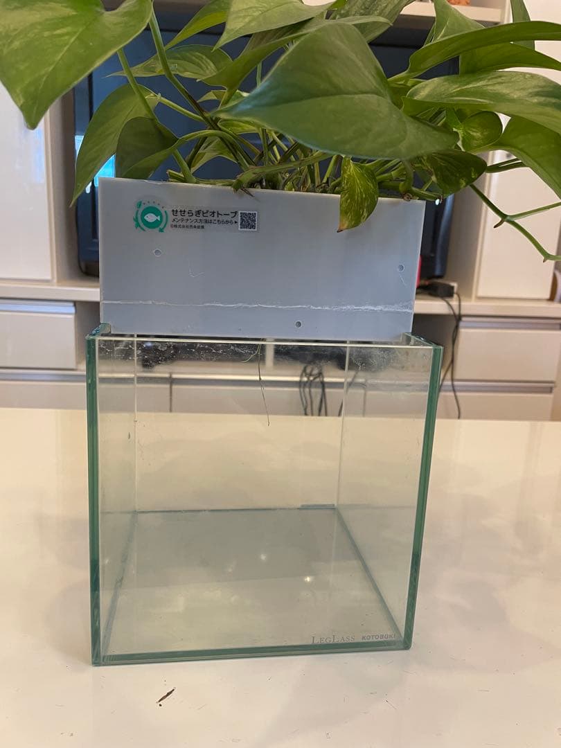 水槽　せせらぎビオトープ