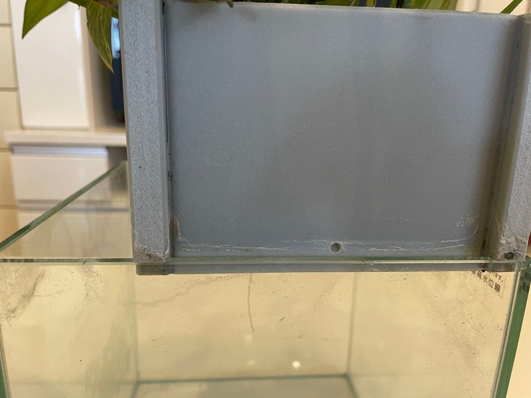 水槽　せせらぎビオトープ