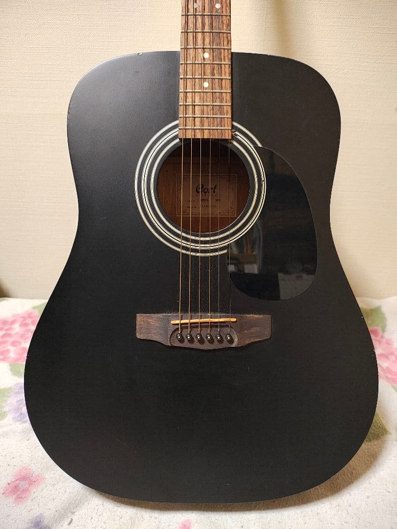 CORT AD810 OPB/マットブラック