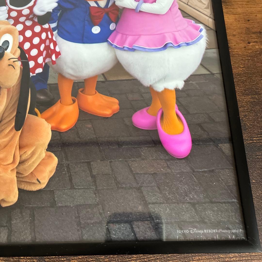 ディズニー　イマジニングザマジック　実写　フォトパネル　ポスター　額入り