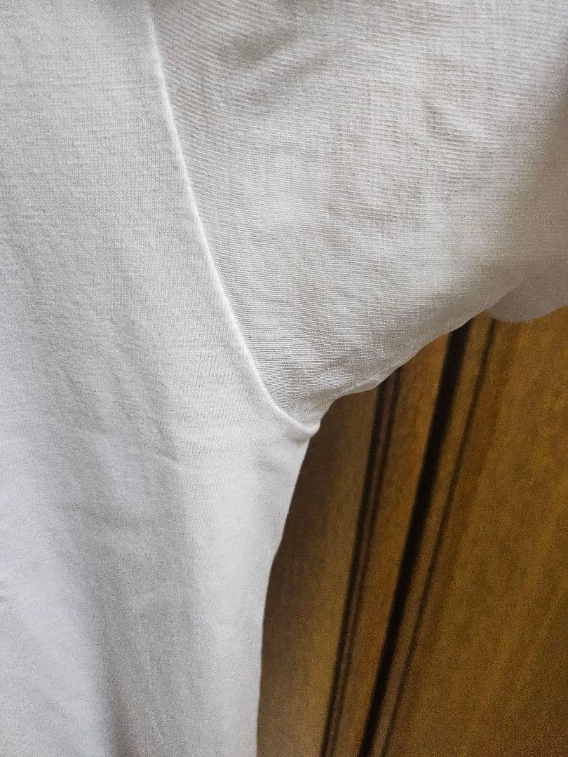 THE DEAD MILKMEN Tシャツ