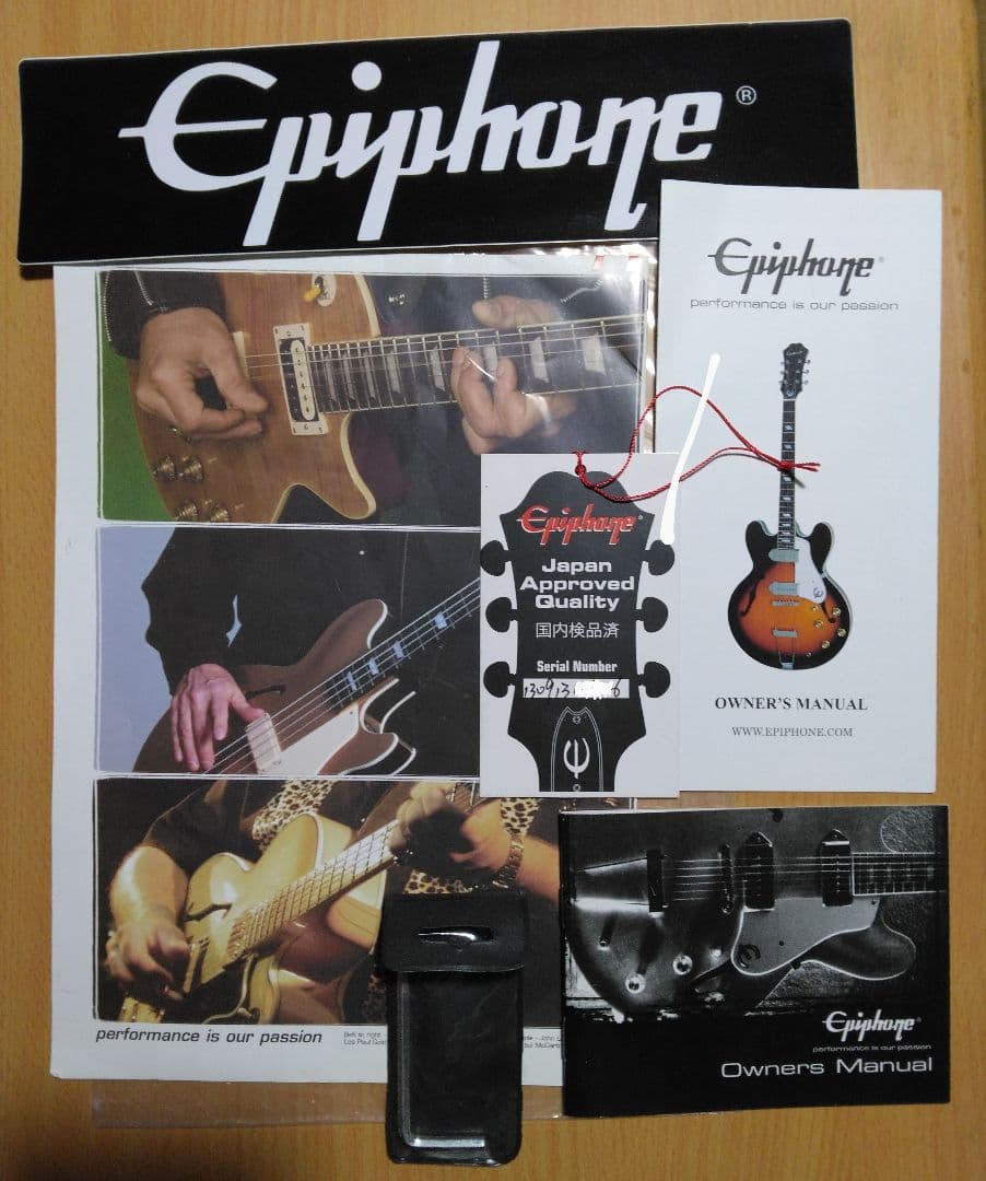 Epiphone Les Paul 100 　 エピフォン レスポール