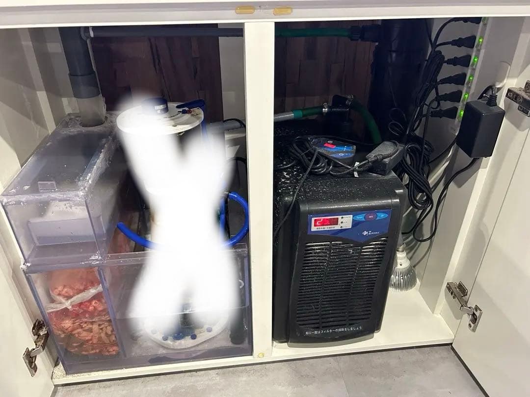 海水魚水槽フルセット早い者勝ち