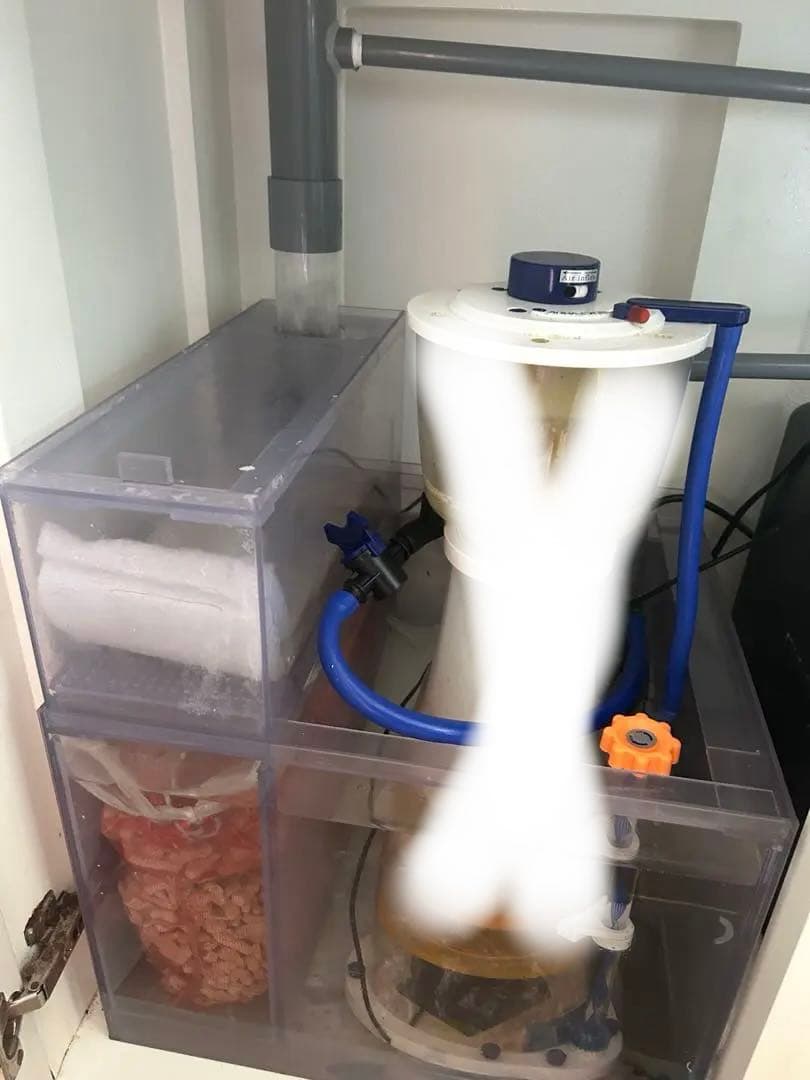 海水魚水槽フルセット早い者勝ち