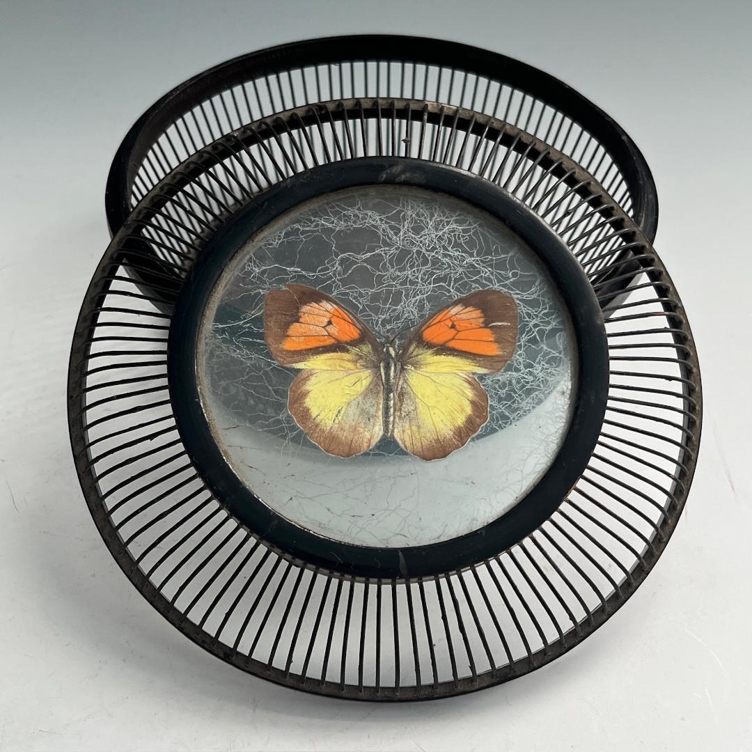 希少 蝶 駿河竹千筋細工 菓子器 明治時代 0.6㍉極小ひご竹細工家蒐集S62