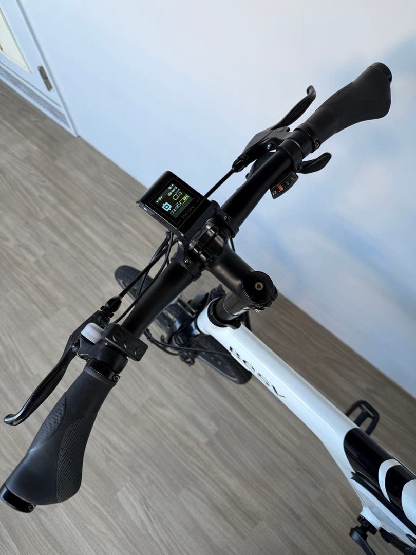 の*ん様 【12/14出品終了】BESV PSA1 ベスビー電動アシスト自転車e