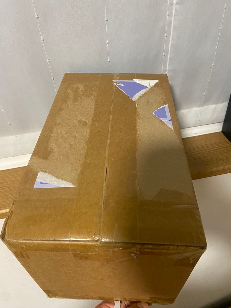 デフォリアル GODZILLA（2024）EVOLVED 少年リック限定版