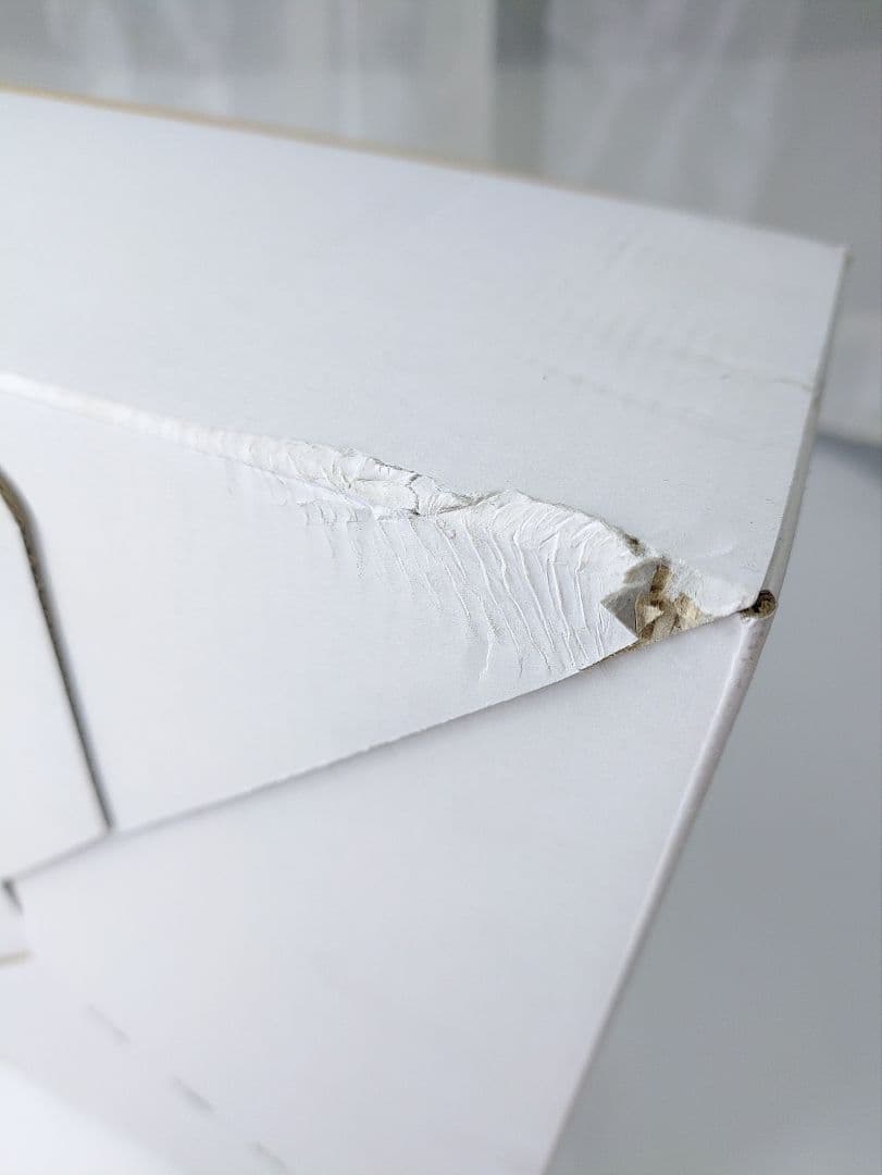 s*s様 SG-09 R バイオハザードRE4 東京マルイ 新品 未開封