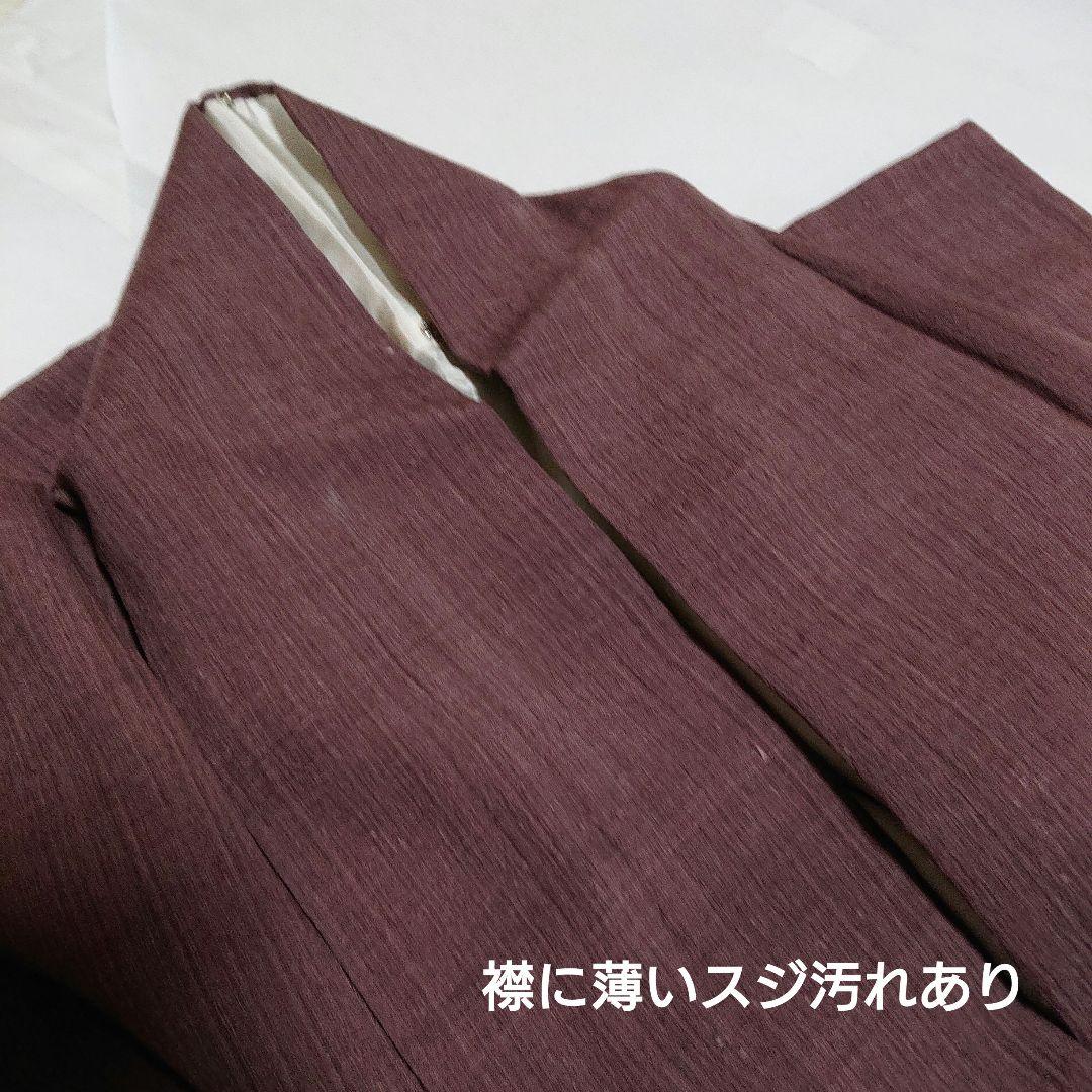 【本場結城縮】色無地 臙脂鼠 縮織