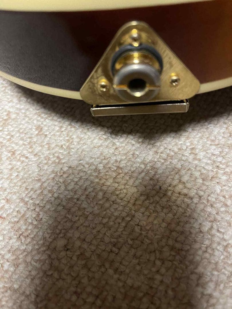 Rally ラリー エレクトリックフラットマンドリン&ハードケース