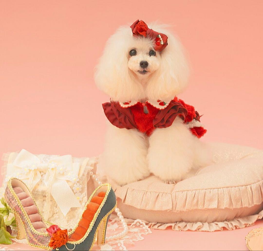 CanNana きゃんナナ　Mサイズ