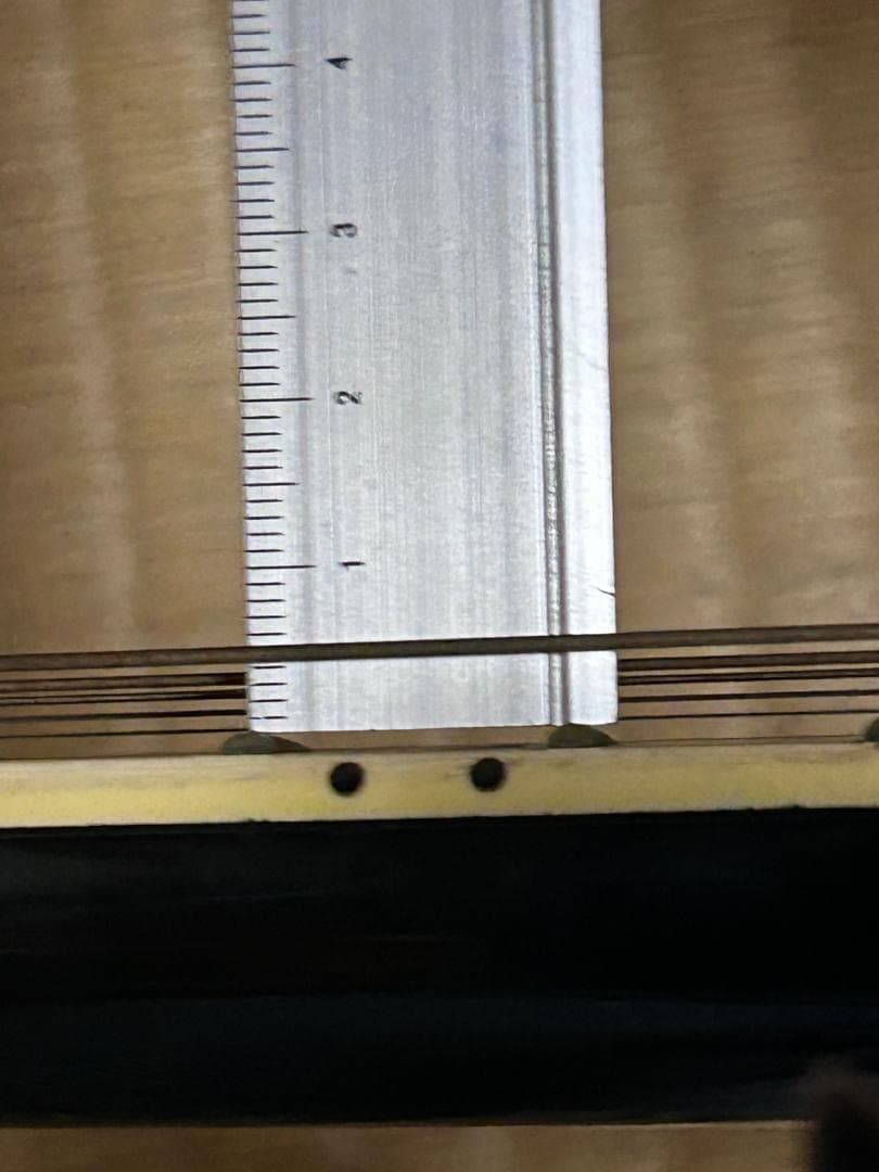 FERNANDES LIMITED　EDITION　 現状