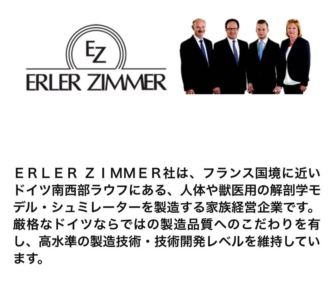 erler zimmer社　頭蓋骨模型　２２分割　マグネット式