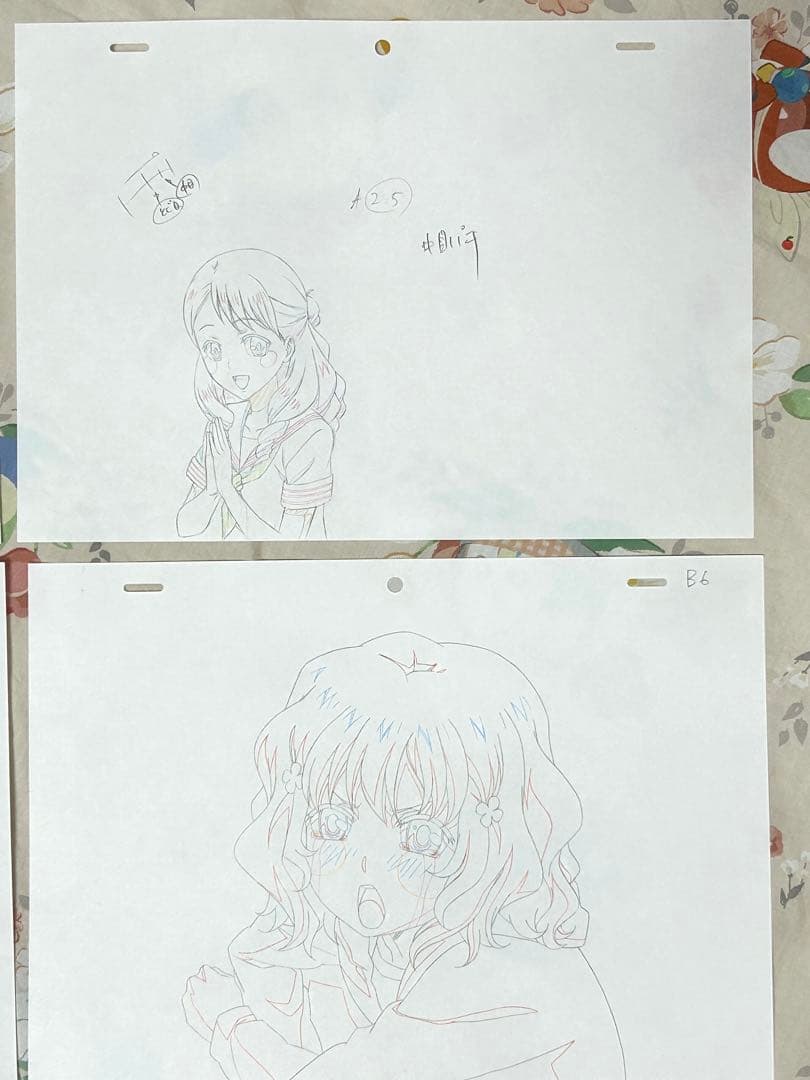 花咲くいろは 劇場版 入場特典 原画 クリアファイル 色紙