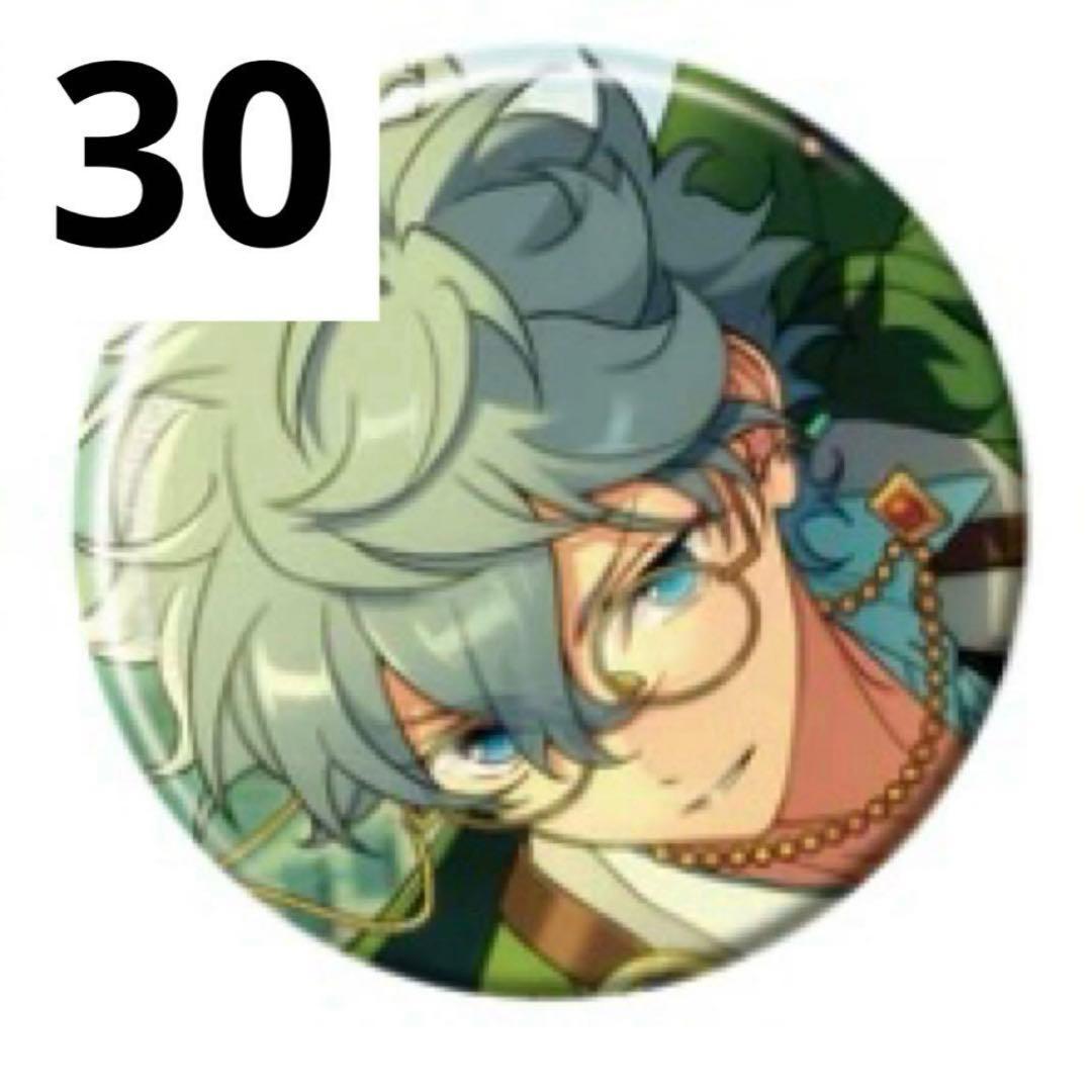 あんさんぶるスターズ！！　瀬名泉　缶バッジ30点