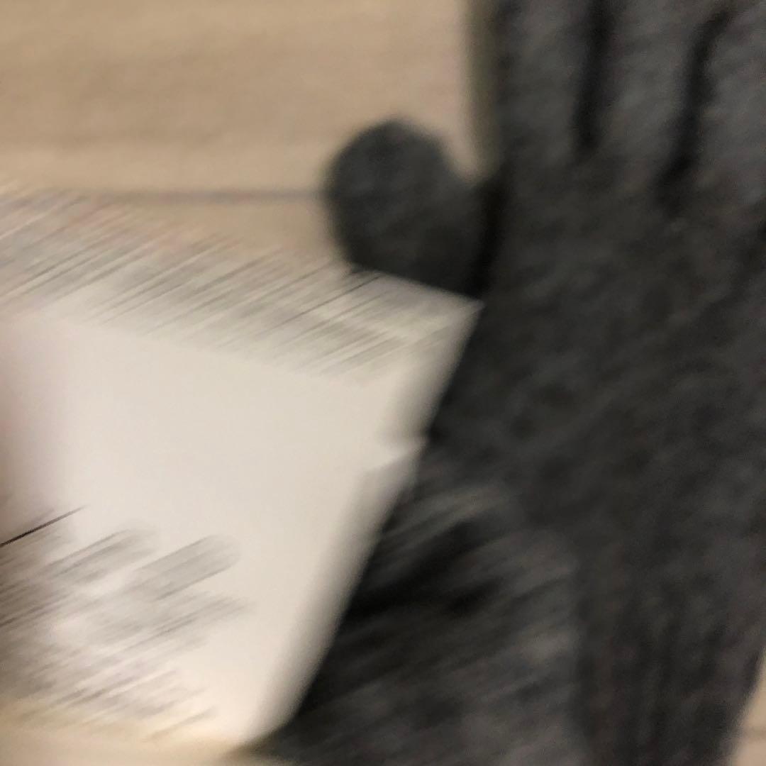 メゾン　マルタン　マルジェラ　ここのえタグ