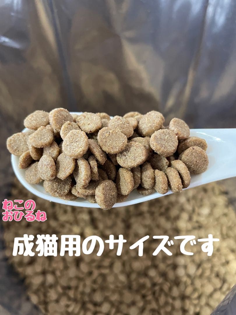 ニュートロ　シュプレモ　成猫用（チキン&サーモン）（白身魚&チキン）3kg×４袋