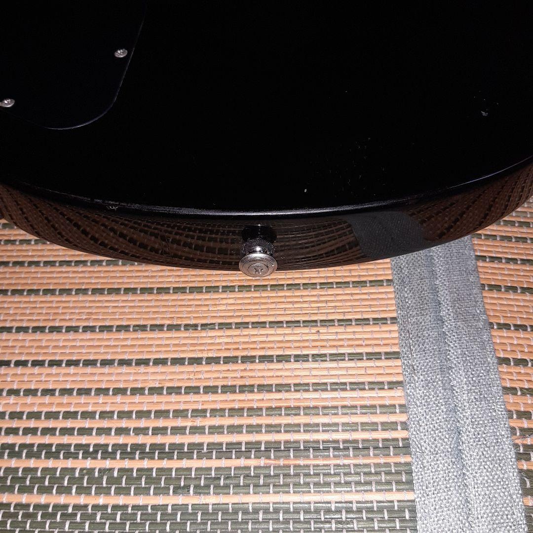 ESP グラスルーツ GrassRoots レスポール ソフトケース、オマケ付き