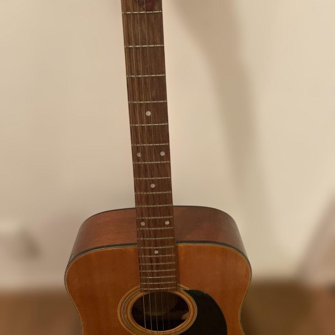 【送料無料】Pro Martin アコースティックギター　W-130