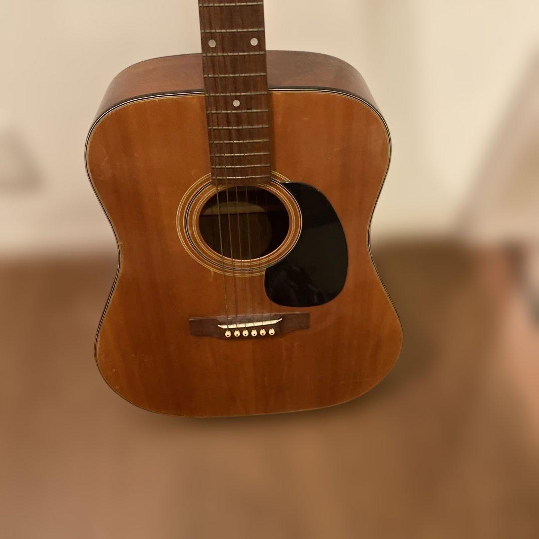 【送料無料】Pro Martin アコースティックギター　W-130