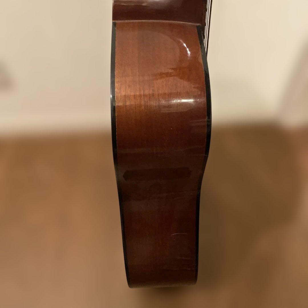 【送料無料】Pro Martin アコースティックギター　W-130