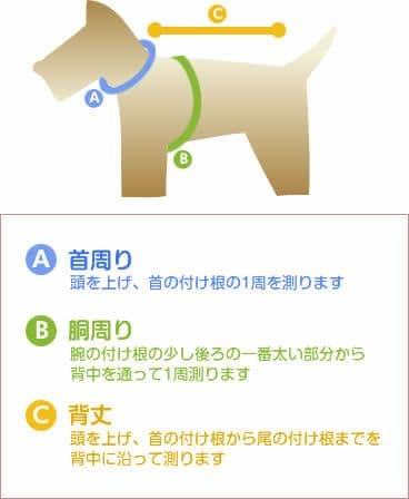 サンライオンページ