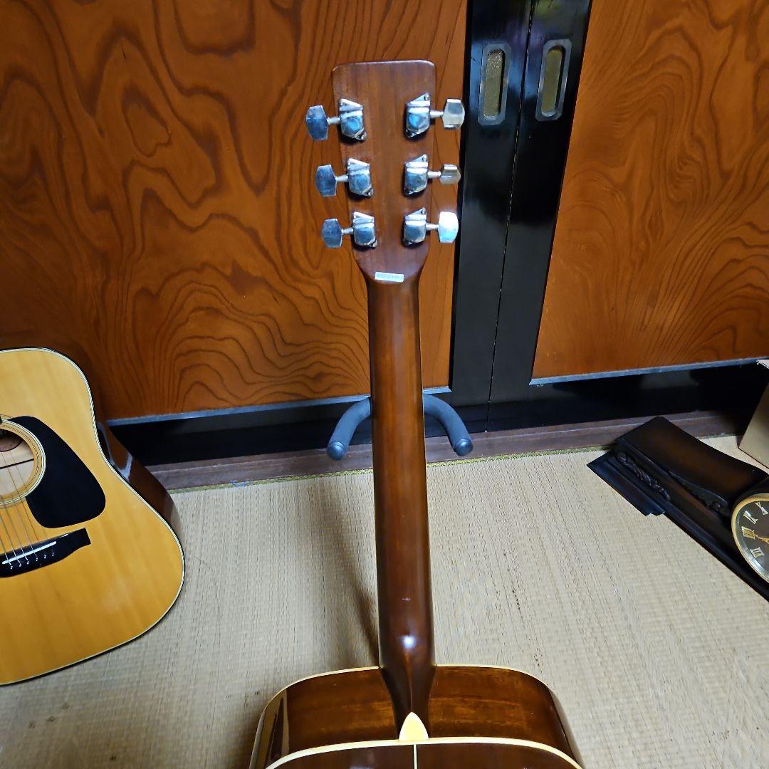 Morris アコースティックギター MD506