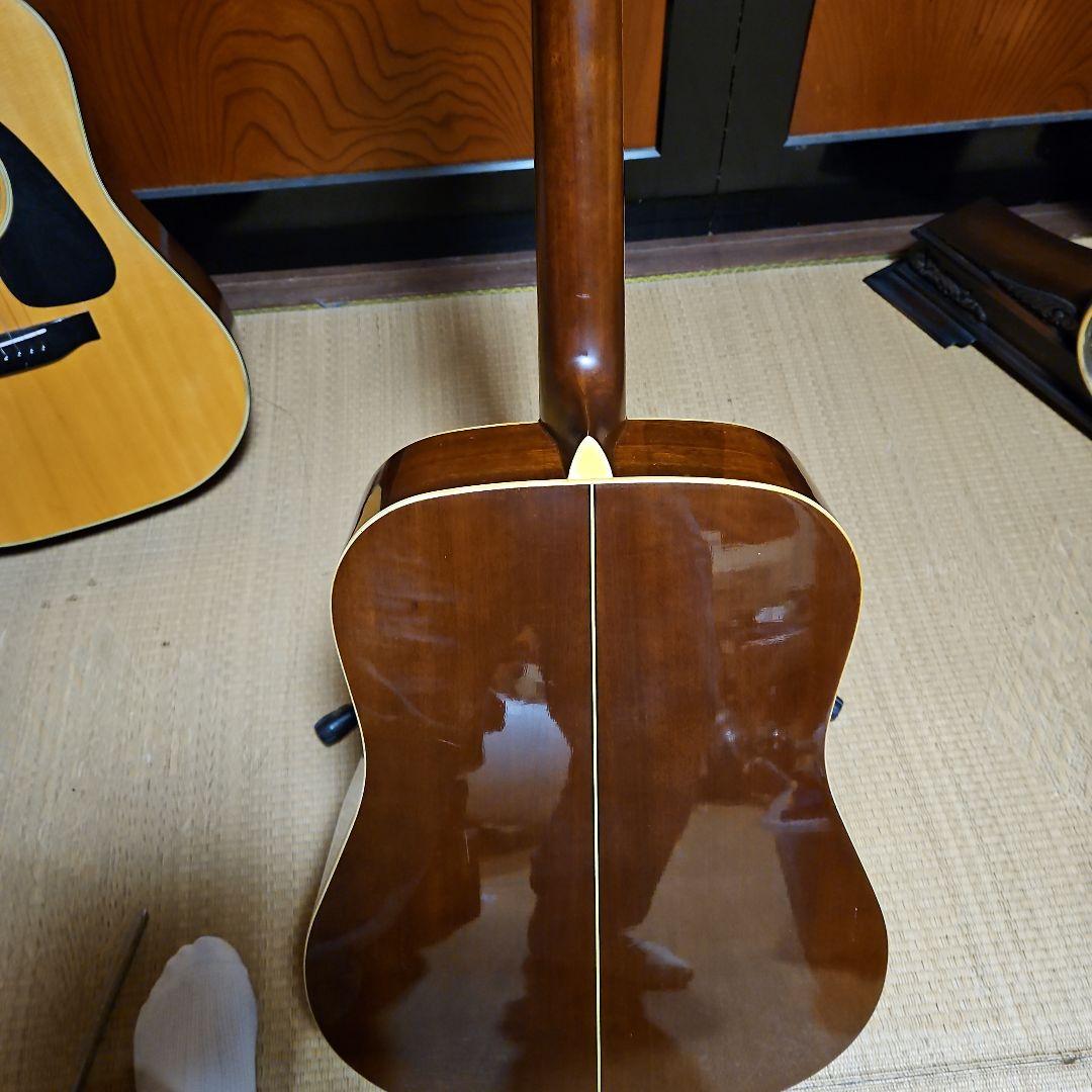 Morris アコースティックギター MD506