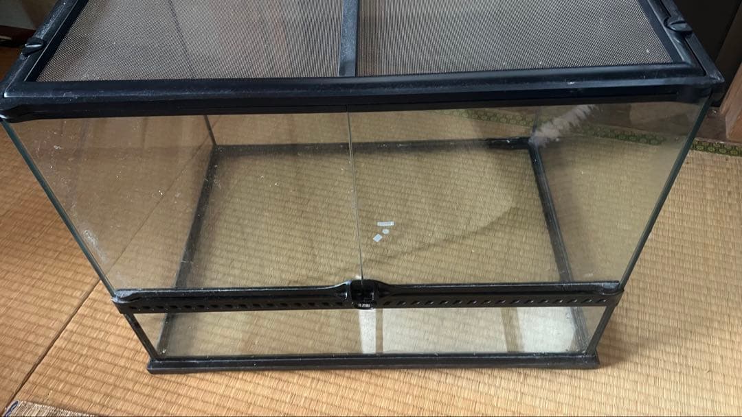 ガラス製 爬虫類 両生類 飼育ケージ エキゾテラ グラステラリウム 6045