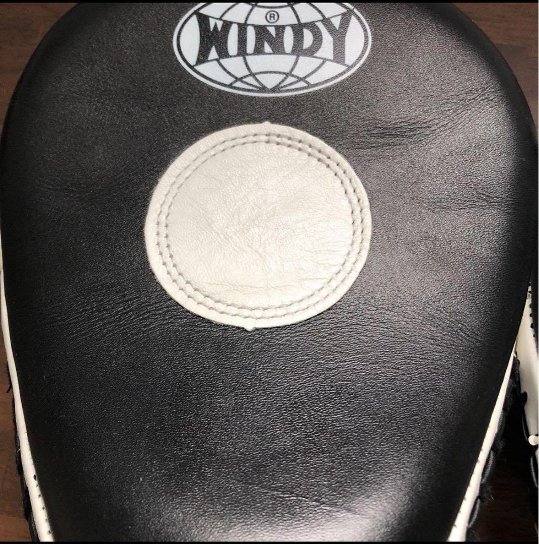 WINDY ミット