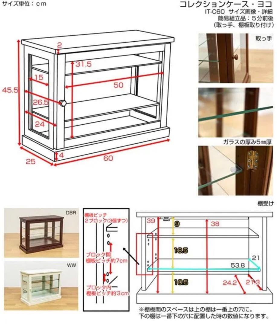コレクションケース　ヨコ　DBR/WW