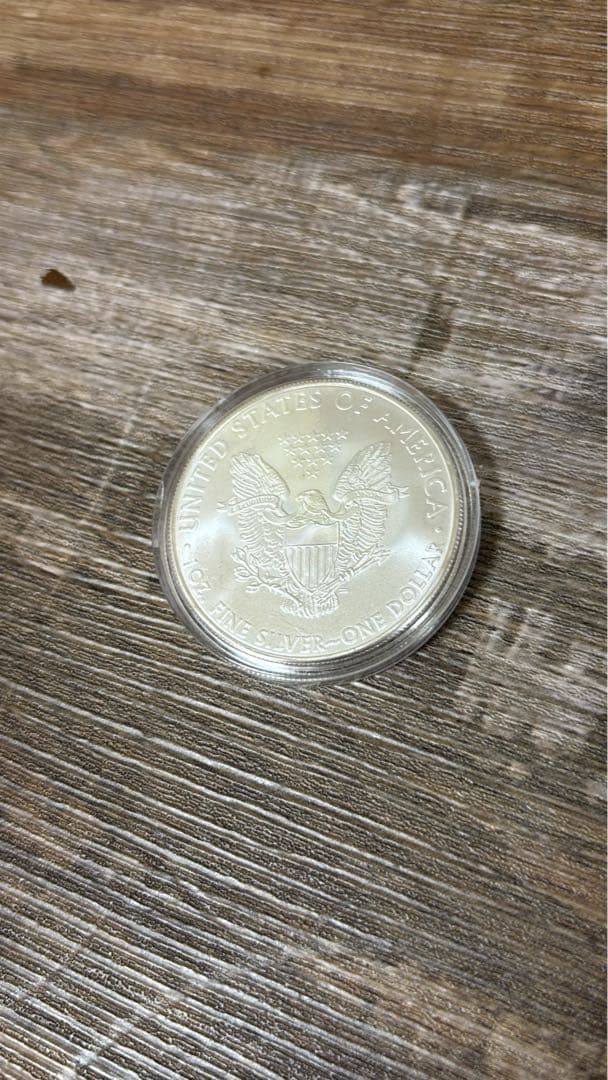 2010年 アメリカンイーグル銀貨　1オンス銀貨