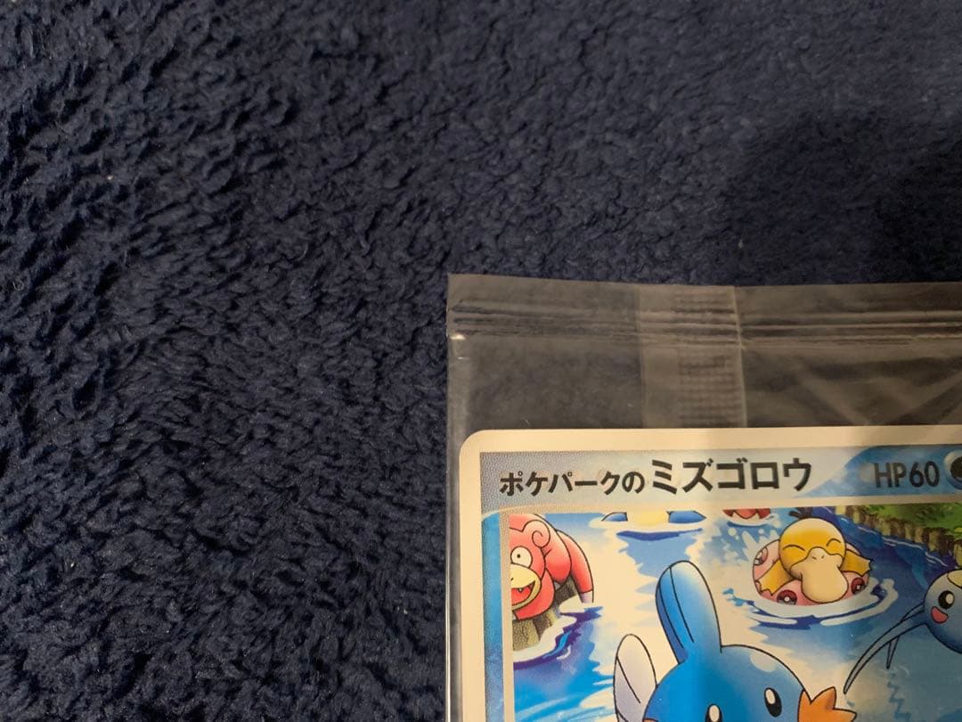 未開封ポケモンカード ミズゴロウ ポケパーク　HP60 048/PCG-P