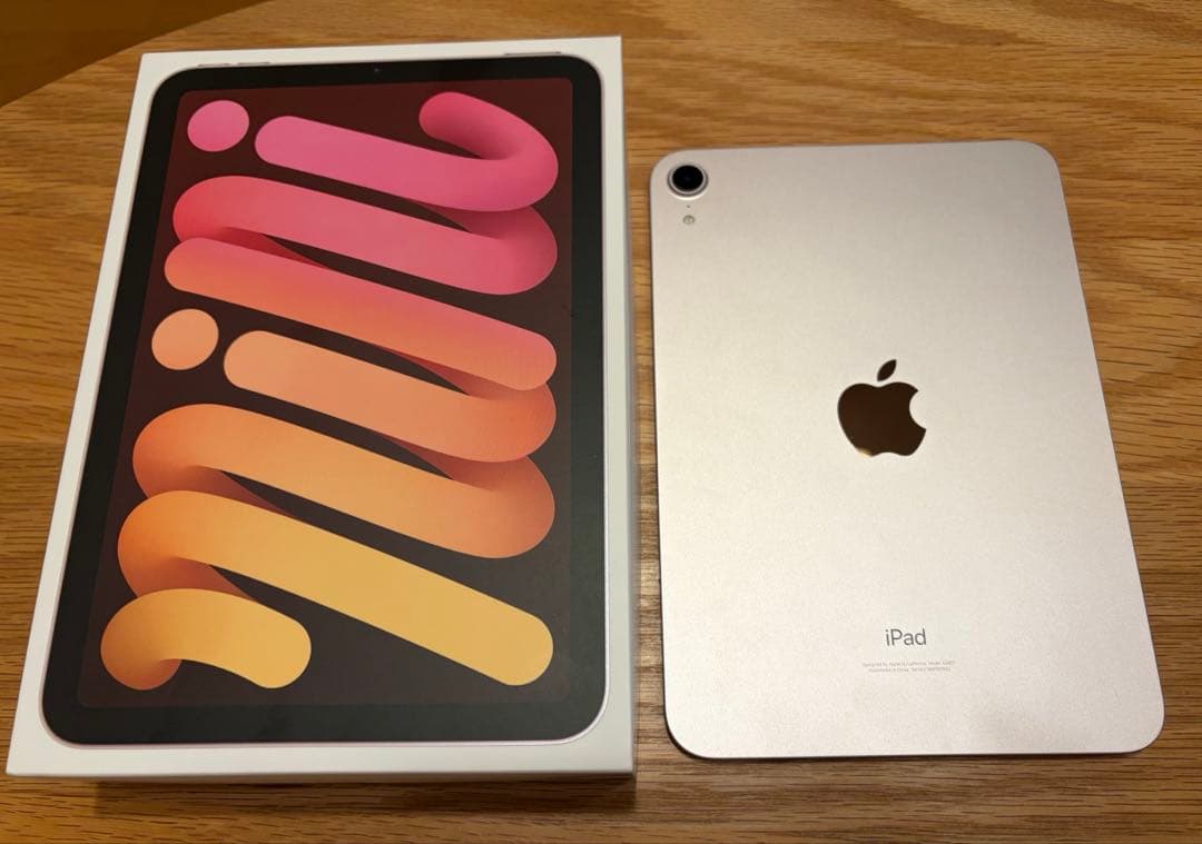 【水没ジャンク】iPad mini6 256GB Wi-Fi