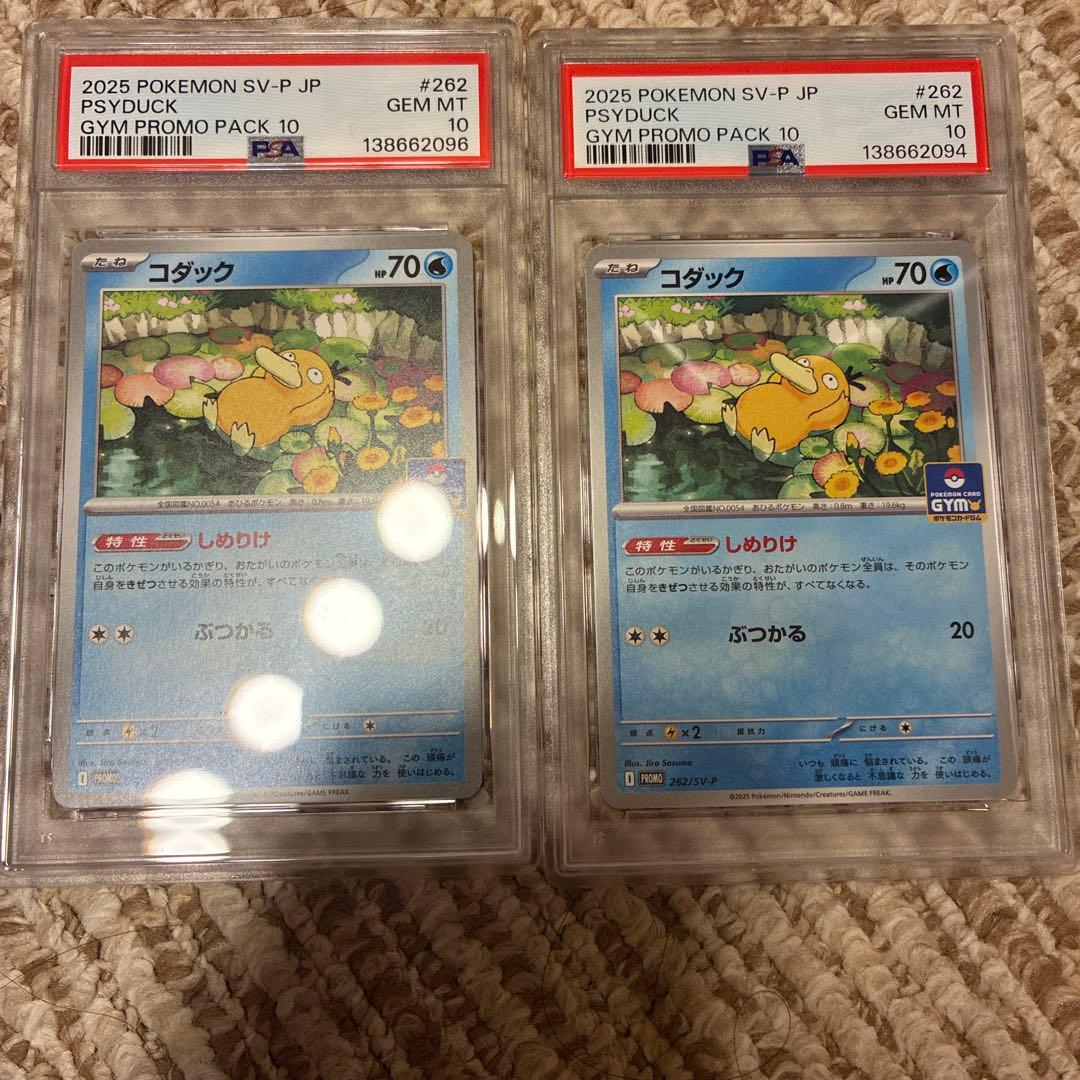 PSA10 コダック　しめりけ　262/SV-P ジムプロモ　2枚