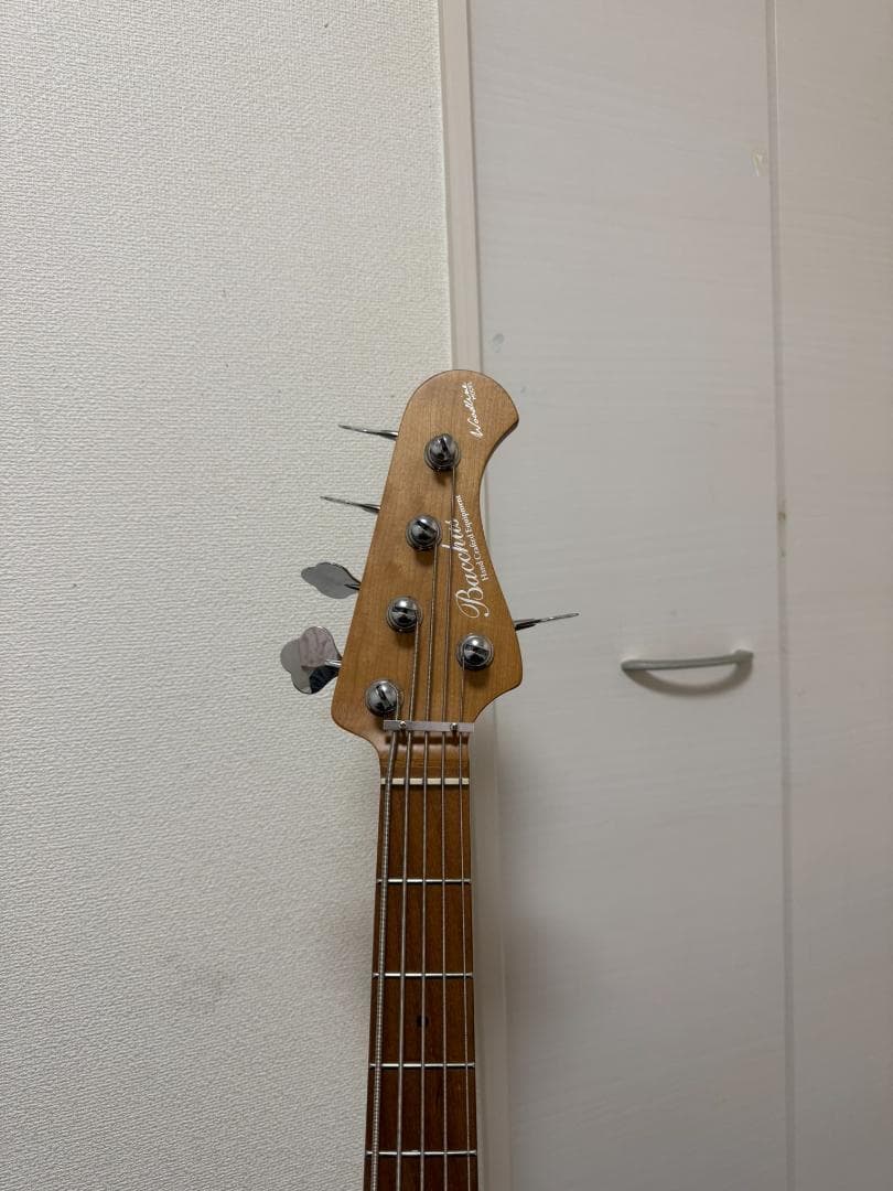 bacchus 5弦ベース EMGピックアップ　WL5-STD33-AC