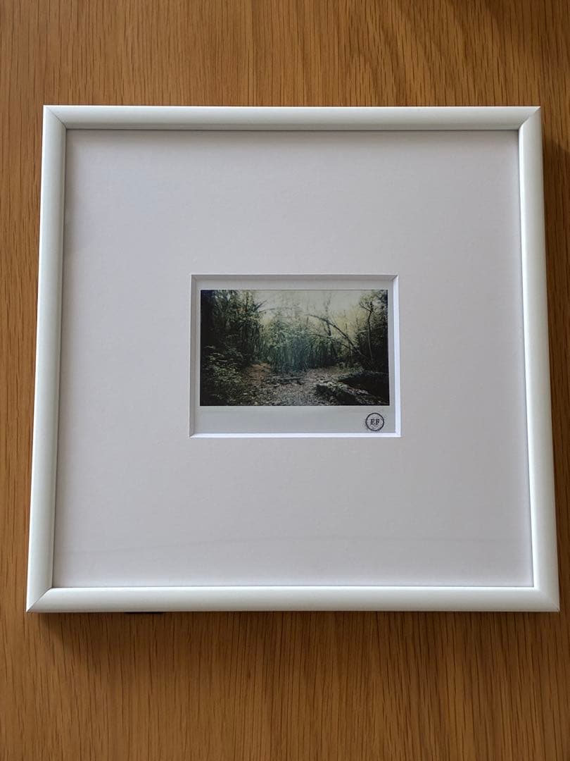 エレン・フライス　elein fleiss 本人撮影ポラロイド　額装済