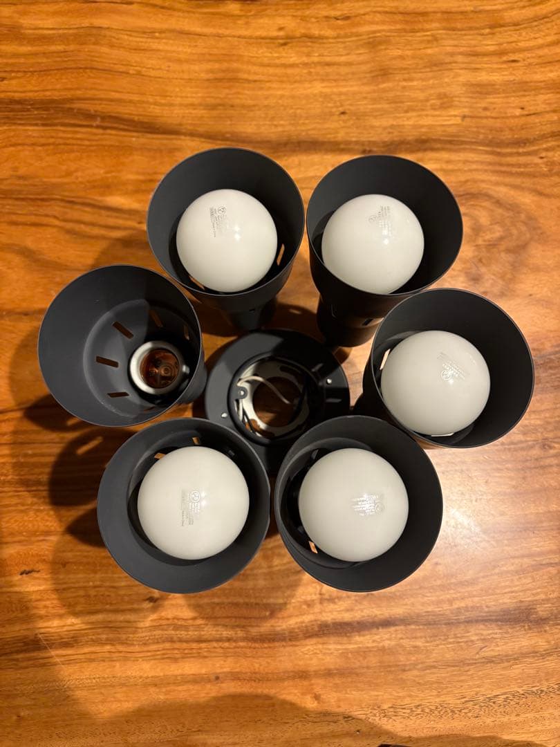 Odelic シーリングファン用灯具のみ　WF279PC